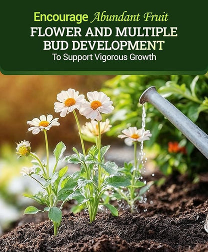 FoxFarm Tiger Bloom Liquid Plant Food - Phosphorus Fertilizer for Buds, Blooms & Flowering - Supports Soil & Hydroponic Systems - High Micronutrient Formula with 2-8-4 Nutrient Ratio - 2.5 Gallons