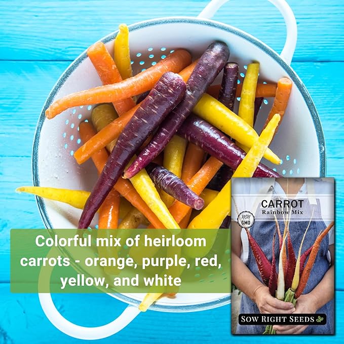 Sow Right Seeds - Rainbow Mix Carrot Seed for Planting - Non-GMO Heirloom Packet with Instructions to Plant a Home Vegetable Garden - Orange, Red, Purple, White Variety Mix for Colorful Harvest (4)