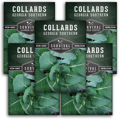 Collard Green Seeds for Planting | Georgia Southern Heirloom Non-GMO Variety | Leafy Greens for Home Vegetable Gardens - Survival Garden Seeds (5 Packs)