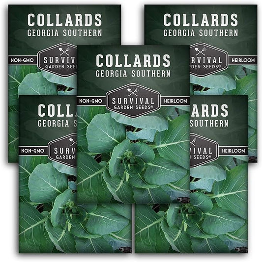 Collard Green Seeds for Planting | Georgia Southern Heirloom Non-GMO Variety | Leafy Greens for Home Vegetable Gardens - Survival Garden Seeds (5 Packs)