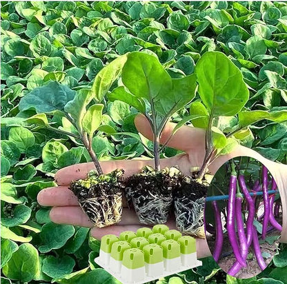 5pcs Seed Starter Tray, Silicone Seeding Starter with Pop-Out Cells (60 Cells in Total), Plant Growing Trays for Seed Starter, Indoor Seeding Planting Growing(5PCS,Green)