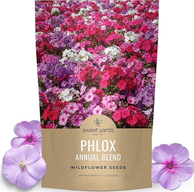 Phlox Annual Blend – Large 2 Ounces Seed Packet – 28,000 Flower Seeds for Planting – Phlox drummondii