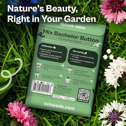 SVI 800 Bachelor Button Seeds for Planting (Centaurea cyanus) – Cornflower, Wildflower Mix Seed Packets – Heirloom Flower Seeds to Plant Outside in Garden, Borders, and Containers