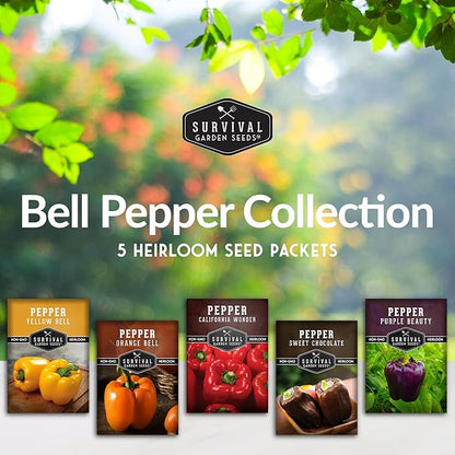 Bell Peppers Seed Collection – 5-Pack | Yellow, Orange, California Wonder, Purple Beauty & Sweet Chocolate Pepper Seed for Planting – Heirloom, Non‑GMO | Survival Garden Seeds
