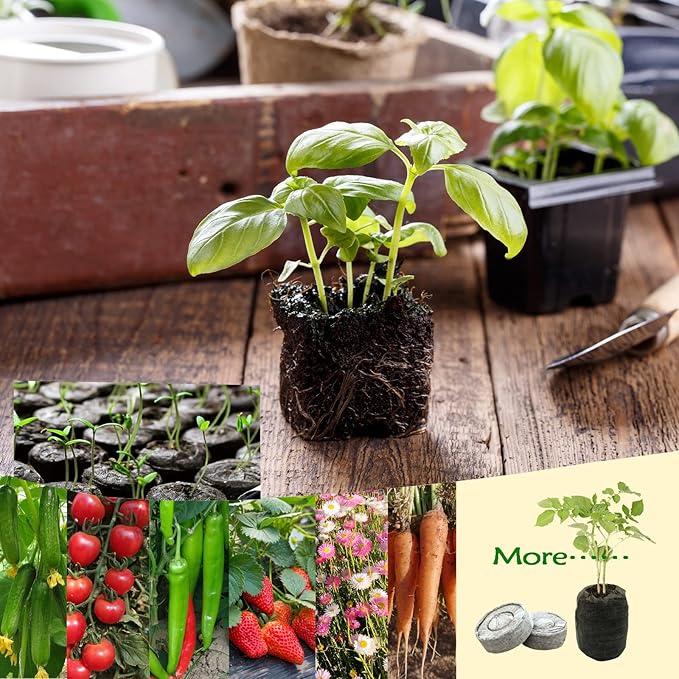 255 Pcs 30mm Peat Pellets Seed Starter Soil,Compressed Seed Starting Soil for Seed Starting of Plants, Fruits, Vegetables, Flowers, Easy Planting and Transplanting for Efficiency (255)