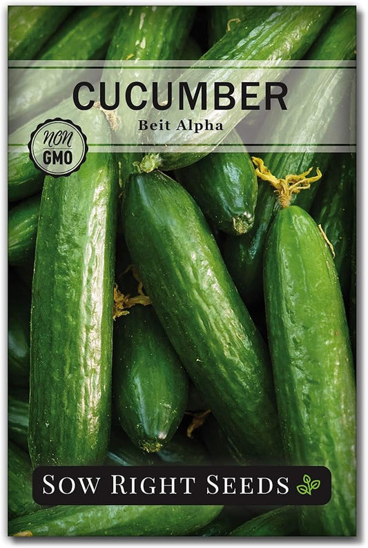 Sow Right Seeds - Beit Alpha Cucumber Seeds for Planting - Non-GMO Heirloom Packet with Instructions to Plant and Grow a Home Vegetable Garden - Start Indoors, Plant Outdoors with Trellis (1)