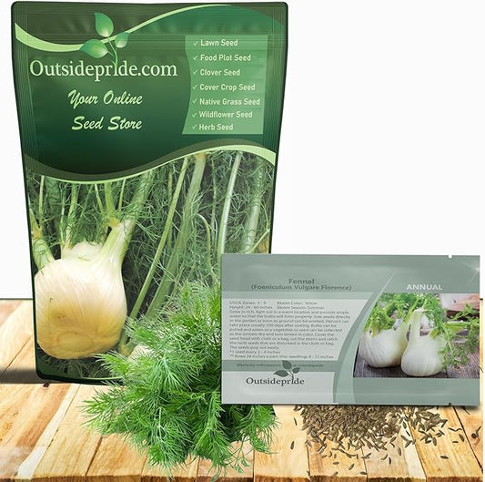 Outsidepride Florence Fennel Seeds - 1 lb. Annual, Pollinator Friendly & Easy to Grow, Herb Seeds for Planting Aromatic & Sweet Yellow Blooms for Versatile Uses & Culinary Creations