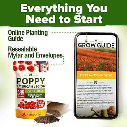 HOME GROWN American Legion Red Poppy Seeds - 6,000 Vibrant Wildflower Seeds for Planting Outdoors - Annual Poppy Flowers - Memorial Garden & Pollinator Friendly (Papaver rhoeas)
