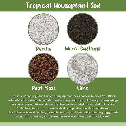 Soil Sunrise Tropical House Plant Potting Mix (12 Quarts); for All Types of Indoor House Plants
