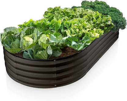 Plant & Plot Galvanized Raised Garden Beds Outdoor // 6×3×1 ft Planter Raised Beds for Gardening, Vegetables, Flowers // Large Metal Garden Box // Patented Tool-Free Design (Black)