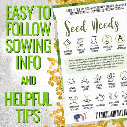 Seed Needs Tomatillo Seeds for Planting Grande Rio Verde Tomatillos - Non-GMO Heirloom & Untreated - Grow a Home Grown Outdoor Vegetable Garden - Great for Salsa & Mexican Cuisine (5 Packs)