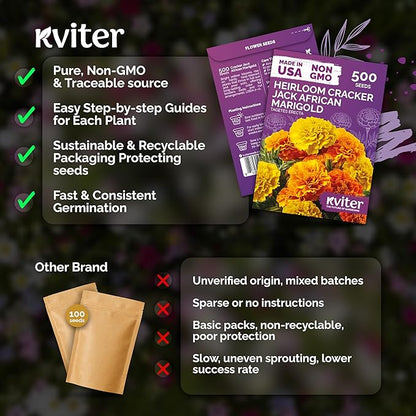 KVITER 500 Cracker Jack Marigold Seeds (Tagetes Erecta) - African Marigold, Giant Bloom, Non GMO Heirloom Seed - Annual Flower Seeds in Seed Packets, Ideal for Outdoor Garden, Patios and Borders