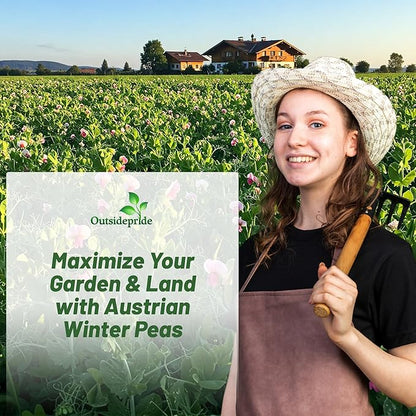 Outsidepride Austrian Winter Peas Seeds for Planting – 1 lbs Bag (Cool-Season Cover Crop, High-Protein Deer Food Plot Seed) Field Peas, Cover Crop Seeds, Spring Mix for Soil Health & Forage