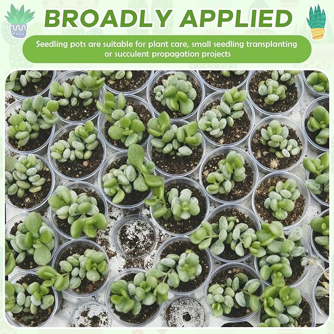 Yaomiao 30 Pcs 4 Inch Clear Mini Plastic Plant Pot Nursery Seedling Pots Seed Starter with Drainage Holes for Indoor Outdoor Garden Succulent Plants Cuttings Transplanting