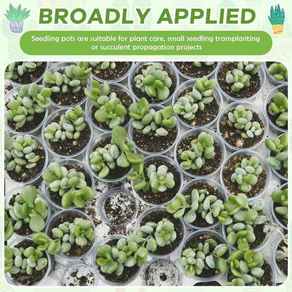Yaomiao 30 Pcs 4 Inch Clear Mini Plastic Plant Pot Nursery Seedling Pots Seed Starter with Drainage Holes for Indoor Outdoor Garden Succulent Plants Cuttings Transplanting