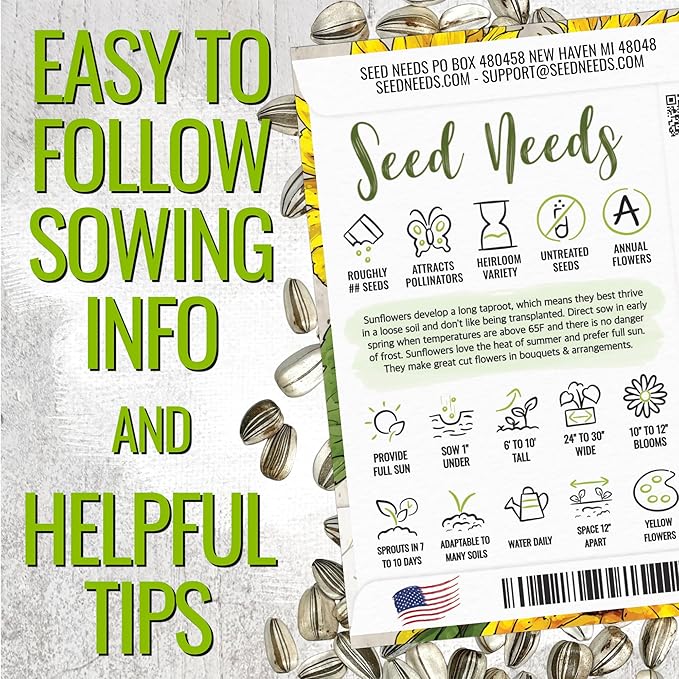 Seed Needs Sunflower Seeds to Plant 600+ Mammoth Grey Stripe Seeds | Heirloom Seed Helianthus Annuus Non GMO Large Resealable Pouch | Bulk Tall Growing Sun Flowers