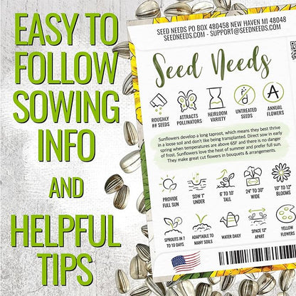 Seed Needs Sunflower Seeds to Plant 600+ Mammoth Grey Stripe Seeds | Heirloom Seed Helianthus Annuus Non GMO Large Resealable Pouch | Bulk Tall Growing Sun Flowers