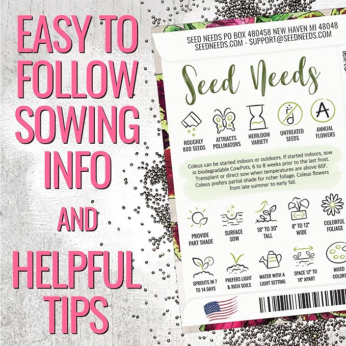 Seed Needs Coleus Seeds for Planting Rainbow Painted Nettle - Heirloom & Open Pollinated Mixed Flower Seed to Grow an Outdoor Butterfly Garden to Attract Pollinators (5 Packs)