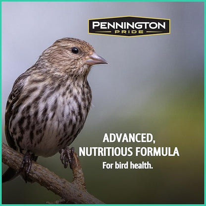 Pennington Pride Wild Finch Blend, Wild Bird Seed for Outside Feeders, Special Mix for a Variety of Musical & Colorful Songbirds, Great Bird Food to Use as Year-Round Feed, 10-lb. Bag