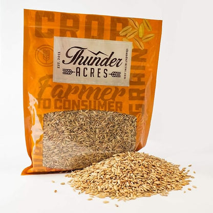 Thunder Acres Cat Grass Blend - Wheat, Barley, Oats, and Rye Seed Mix - Non-GMO - Certified Organic - Bonus CAT Toy (1 oz)