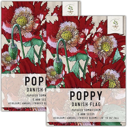 Seed Needs Danish Flag Poppy Seeds for Planting - Heirloom & Open Pollinated Annual Flowers - Attracts Pollinators/Butterflies to a Butterfly Garden (2 Packs)