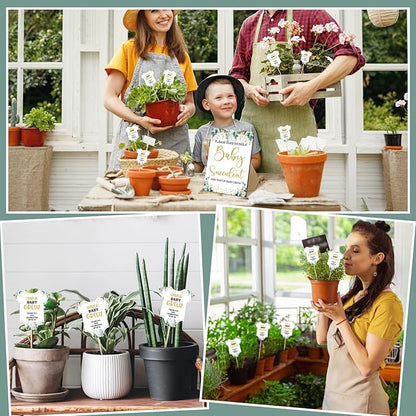 51 Pcs Watch Baby Grow Succulent Tags Baby Shower Party Favors Include 1 Piece Wooden Table Sign 50 Sets Succulent Favor Tags Decorations(Greenery Style)