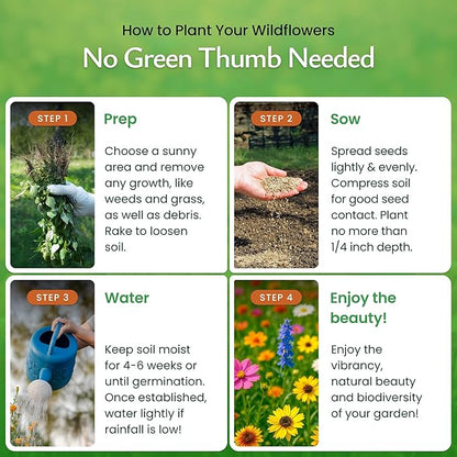 Created By Nature Virginia Wildflower Seed Mix, 18 Flower Varieties, 35,000+ Seeds