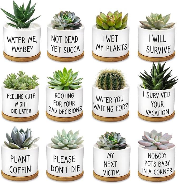 12 Pcs Funny Succulent Pots with Bamboo Tray White Ceramic Aloe Cactus Plant Pots Funny Plant Pots for Women Coworker Employee