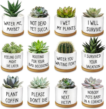 12 Pcs Funny Succulent Pots with Bamboo Tray White Ceramic Aloe Cactus Plant Pots Funny Plant Pots for Women Coworker Employee