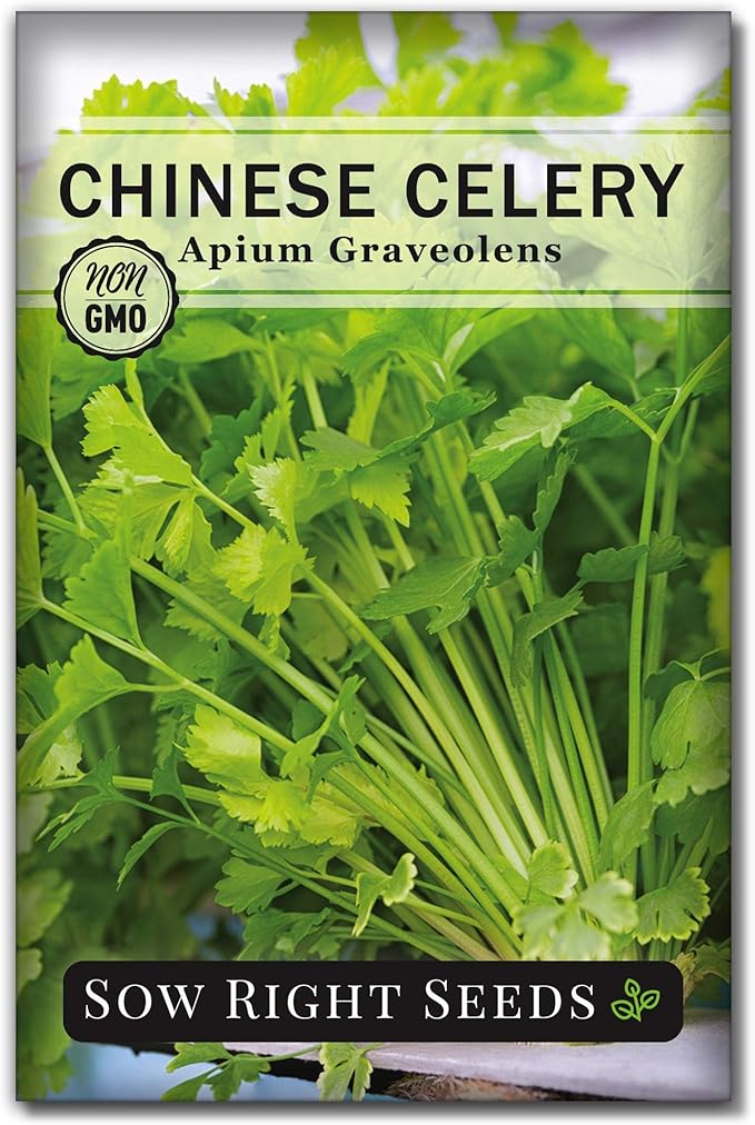 Sow Right Seeds - Chinese Celery Seeds for Planting - Non-GMO Heirloom Packet with Instructions to Plant and Grow a Home Vegetable Garden - Culinary and Compact Herb, Abundant Stalks (1)