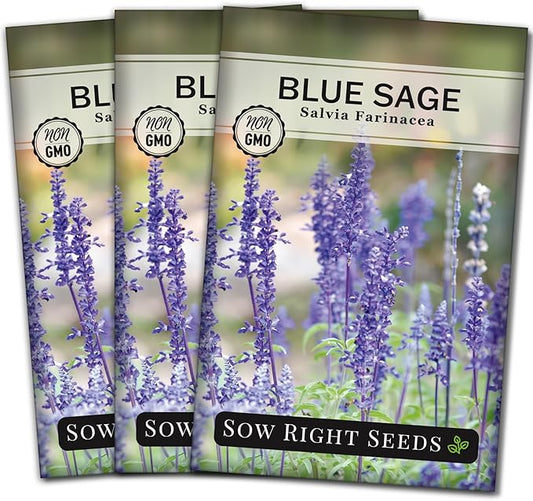 Sow Right Seeds - Blue Sage Wildflower Seed to Plant - Non-GMO Heirloom Seeds - Full Instructions for Planting and Growing Mealycup Sage or Salvia farinacea - Indoors or Outdoor - Gardening Gift (3)