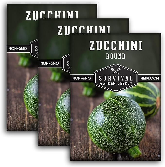 Survival Garden Seeds - Round Zucchini Seed for Planting - 3 Packs with Instructions to Plant & Grow Small Green Zucchinis in Your Home Vegetable Garden - Non-GMO Heirloom Variety - Seed Vault