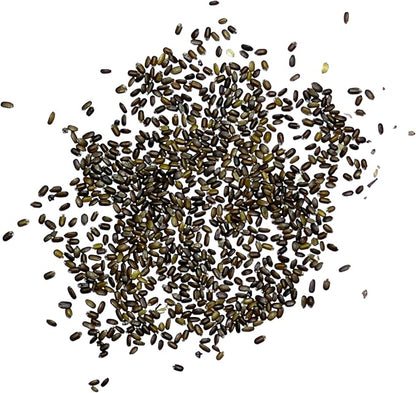 Seed Needs Bee Balm Seeds for Planting Wild Bergamot - Heirloom & Open Pollinated Perennial Flowers to Grow a Butterfly Garden to Attract Bees, Butterflies & Other Pollinators (10 Packs)