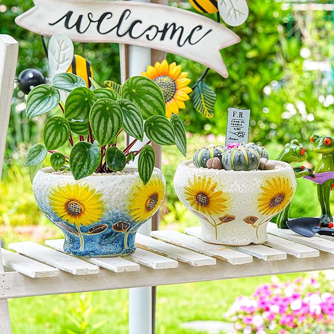 Sungmor Small Succulent Planters Set of 2, Beautiful Hand Crafted Ceramic Plant Pots Cute Cactus Pot, 6.5 Inch Flower Pots for Indoor Plants with Drainage, Desktop Windowsill Home Office Decor Pots