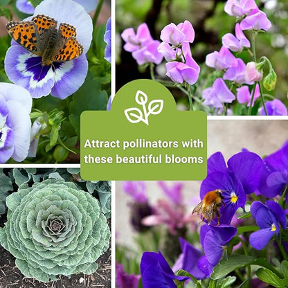 Sow Right Seeds - Frost Hardy Seed Collection for Planting - Pansies, Violets, Snapdragon, Ornamental Kale and Sweet Peas - Lovely Flowers for Spring & Fall Color - Non-GMO Heirloom with Instructions