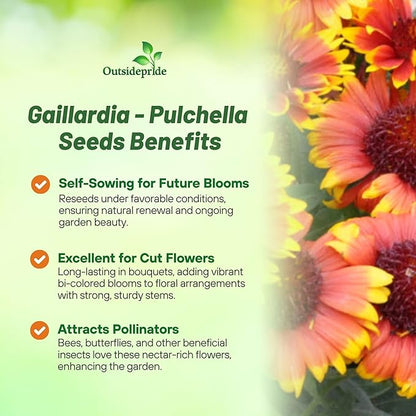 Outsidepride Gaillardia Pulchella Red Indian Blanket Seeds for Planting - 1/4 lb Annual Flower Seeds, Heat & Drought Tolerant for Xeriscaping, Borders, & Small Garden Spaces