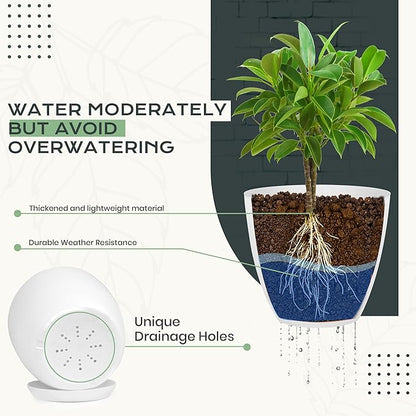 Utopia Home - Plant Pots Indoor with Drainage - 7/6.6/6/5.3/4.8 Inches Flower Pots for Indoor Planter - 10 Pack Plastic Planters - Ideal for Stocking Stuffers or Home Christmas Decorations - White