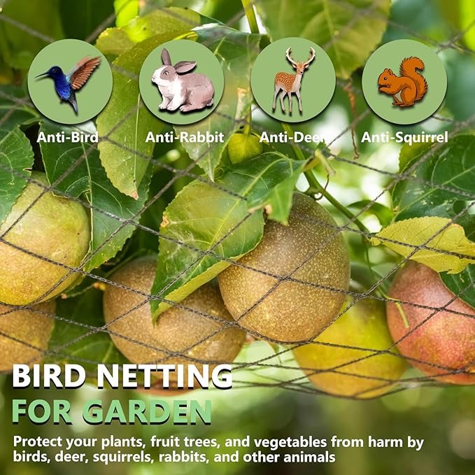 Bird Netting for Garden 25 x 25 FT Heavy Duty Black Garden Netting for Fruit Trees, Chicken Coop, Pond, Blueberry Bushes, Poultry & Deer Netting, HDPE Plant Protection Net Fence with Ties