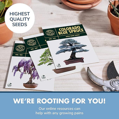 Bonsai Tree Seed Starter Kit - Mini Bonsai Plant Growing Kit, 3 Types of Seeds, Potting Soil, Pots, Pruning Shears Scissor Tool, Plant Markers, Wood Gift Box, Fathers Day Gardening Gifts Ideas