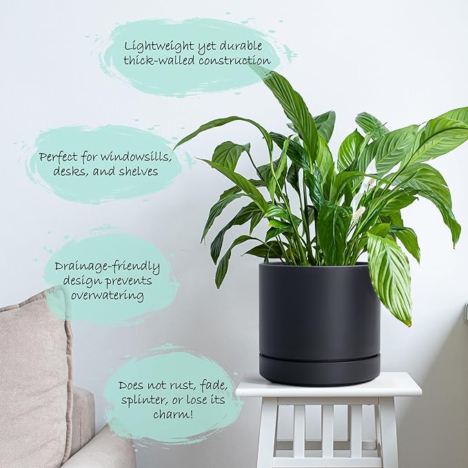 Phoenix Vine 6 Inch Planter Pot with Drainage Hole & Saucer, Deep Water Catch Tray, Straight Cylindrical Round Pot for Plants, Matte Black, Pack of 4, 23-C-S-4