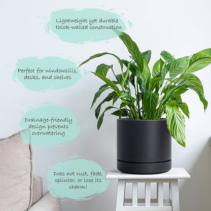 Phoenix Vine 6 Inch Planter Pot with Drainage Hole & Saucer, Deep Water Catch Tray, Straight Cylindrical Round Pot for Plants, Matte Black, Pack of 2, 23-C-S-2