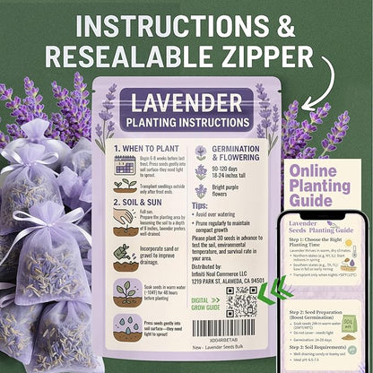 3800+ Lavender Seeds for Planting Outdoor - Non GMO Premium English Lavender Seeds for 2026, Lavender Plants or Dried Flowers, Wildflower Seed, DIY Essential Oils Perfect for Home Gardeners, Gifts