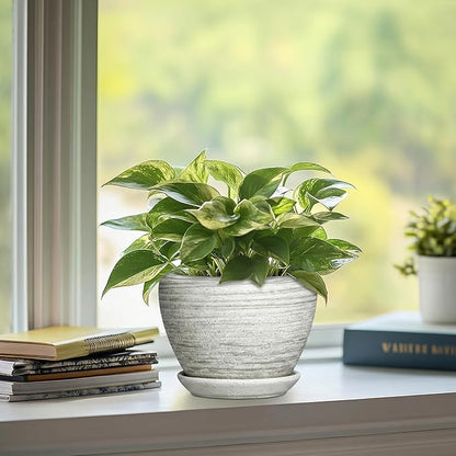 6 Inch Flower Pots - Ceramic Planters for Indoor Outdoor Plants, Ceramic Plant Pots with Drainage Hole and Saucer, Modern Round Plant Pot, Desk Decor, Gifts for Gardener, Textured Grey