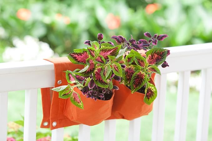 BloemBagz 2 Pocket Rail Planter, 18", Peppercorn