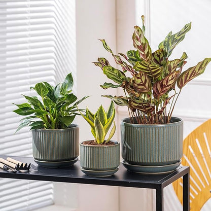 Green Ceramic Plant Pots Set of 3, 4.3+5.5+6.7 Inch Indoor Flower Pots with Drainage Hole & Saucer & Hole Mesh Pads, Striped Decorative Planter Set for Indoor Plants, Gardening Pots & Accessories