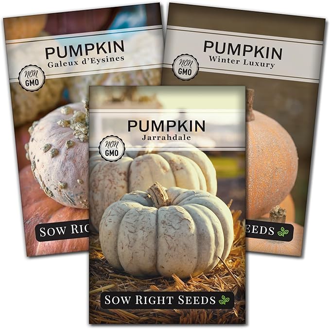 Sow Right Seeds - Decorative Pumpkin Seed Collection for Planting - Jarrahdale, Galeux d’Eysines, and Winter Luxury Pumpkins - Non-GMO Heirloom Packets with Instructions to Plant and Grow