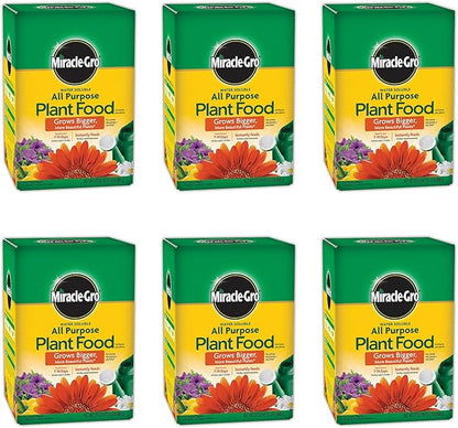 Miracle-Gro Water Soluble All Purpose Plant Food - Fertilizer For All Indoor or Outdoor Plants including Roses, Flowers, Vegetables, Houseplants, Trees, and Shrubs, 1.5 lbs. (6-Pack)