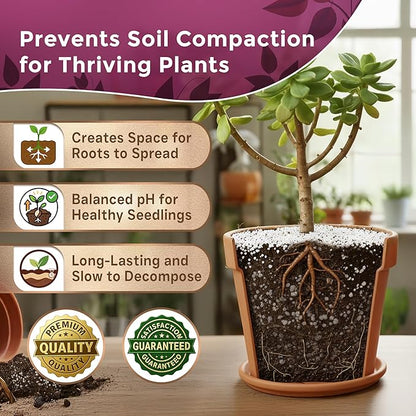 Professional Perlite | Large 2.2 Quarts | Medium Grade for Container and Garden Plants | pH Neutral Lightweight Soil Additive | Made in USA
