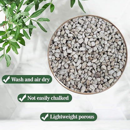 Sukh Horticultural Pumice Stone - Pumice Stone for Plants Succulent Cactus Bonsai Orchid Soil Amendment 900g