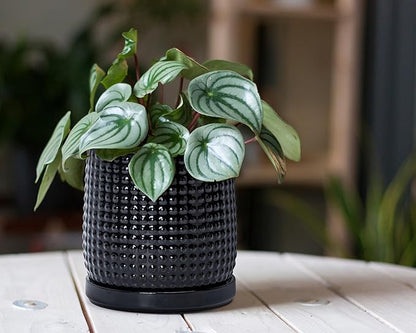 D'vine Dev 6 Inch 4 Inch Ceramic Indoor Planter Pots with Drainage Hole and Saucer, Beaded Design Flower Pots, Set of 2, Gloss Black, 27-D-U-2